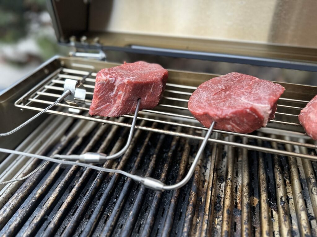 Current Backyard Model G Reverse Searing Filets